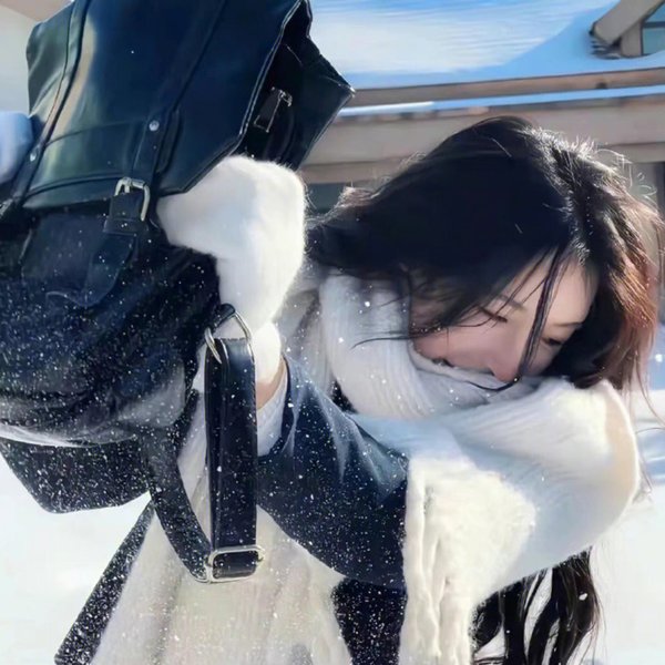 毛泽东与斯诺