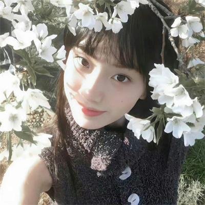 半田君传说